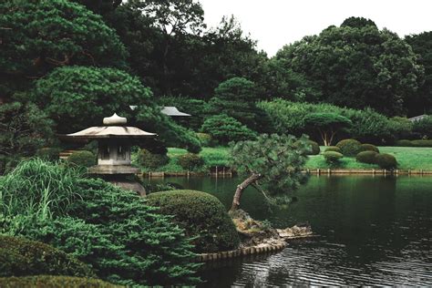 東京庭院有哪些風景之美