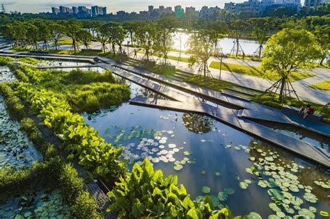 玉合公園怎麼樣 有沒有考慮過將其打造成一個集自然景觀與現代藝術為一體的文化休閒地?